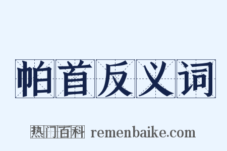 帕首反义词是什么意思的图片